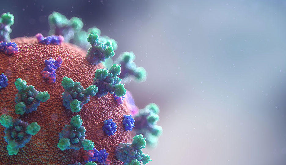 A foto mostra uma partícula de vírus em zoom representando a doença covid 19